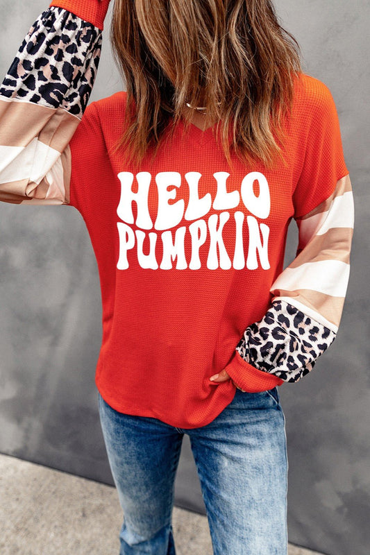 Letter Graphic V-Neck Long Sleeve Top - Celeste    